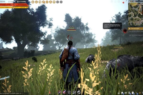 black desert game