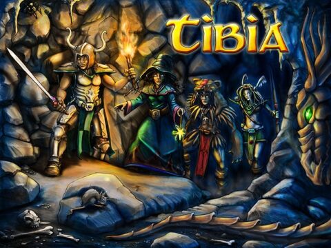 tibia