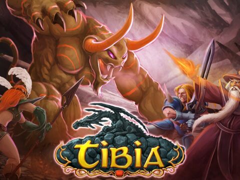 tibia