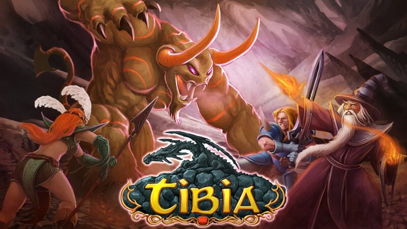 tibia